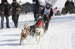 Lenk 2012 SM